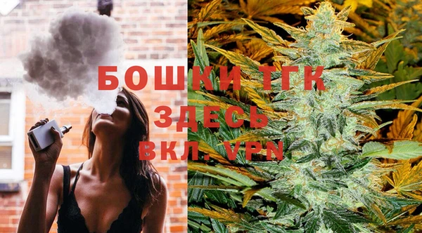 первитин Осинники