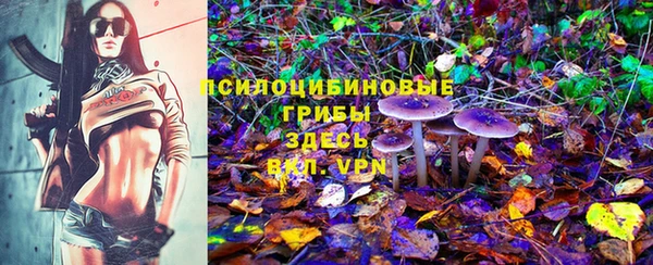 первитин Осинники