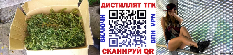 MEGA как зайти  Суздаль  ТГК концентрат 