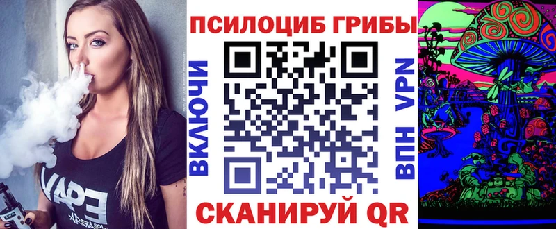 МЕГА онион  закладка  Суздаль  Псилоцибиновые грибы Magic Shrooms 